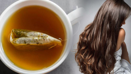 Jaké jsou výhody zeleného čaje pro vlasy? Zelený čaj maska ​​recept