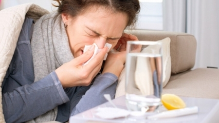 Jaká jídla jsou vhodná pro nachlazení a chřipku? 5 potravin, které zabraňují chřipce ...