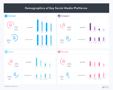 demografie sociálních médií