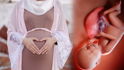 Modlitby, které mají být předávány za zdraví dítěte během těhotenství a dhikr esmaül hüsna
