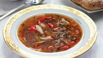 Recept na bylinkovou polévku z bylinného koření