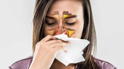 Co je alergická rýma? Jaké jsou příznaky alergické rýmy? Existuje lék na alergickou rýmu?
