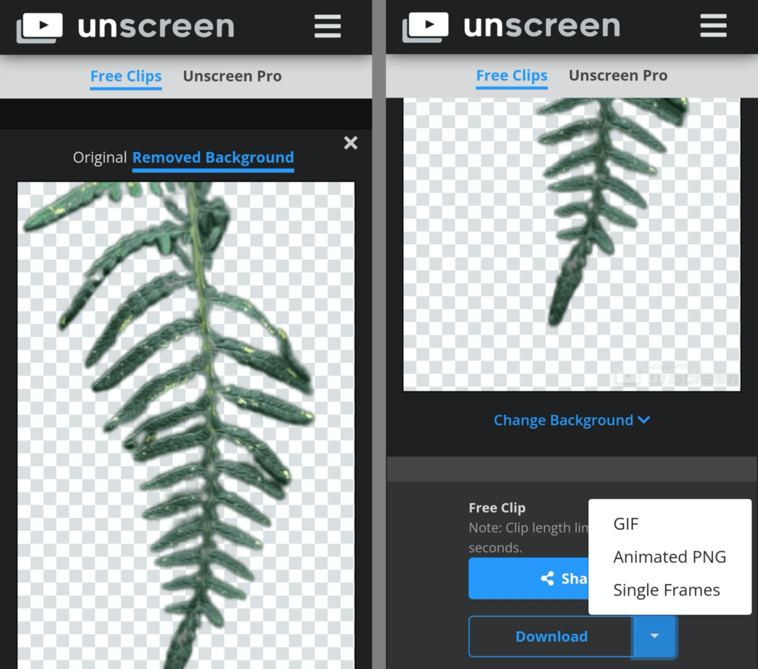 obrázek nástroje pro tvorbu Unseen GIF