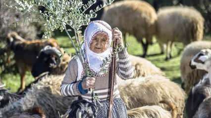 Teta Fatma je pastýřem v podhůří Amanoských hor už půl století!
