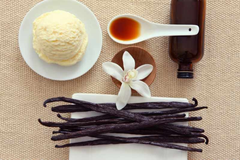 Co je to sladký vanilin? Jsou Vanilla a Vanilin stejná? Výroba vanilky s cukrem