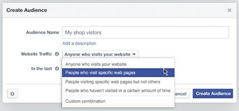 facebook vytváří návštěvnost webových stránek publika