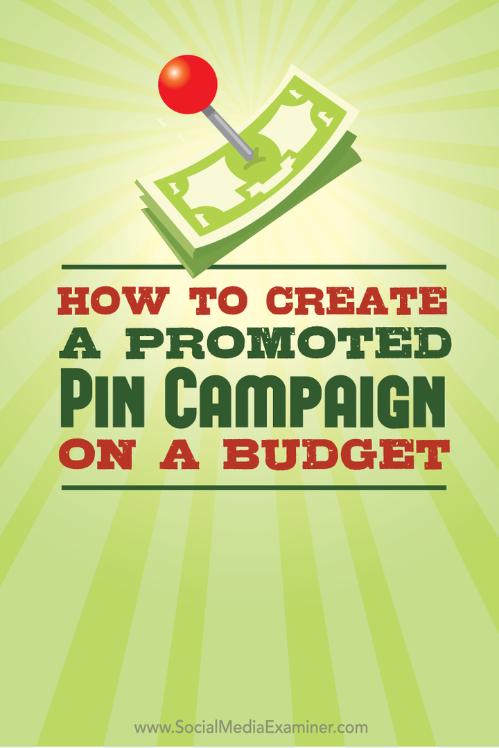 propagovaná pin kampaň s rozpočtem