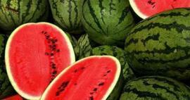Jak vybrat meloun? Jak poznat dobrý meloun? Jak porozumět motýlímu melounu 