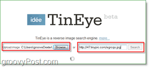 TinEye Screenshot - vyhledávání vašeho obrázku pro duplikáty a větší verze