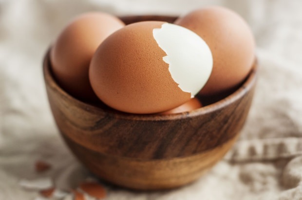 Analýza organických vajec