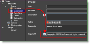 Fotografické nástroje Microsoft Pro Photo Fotograf MetaData Auto Copyright:: groovyPost.com