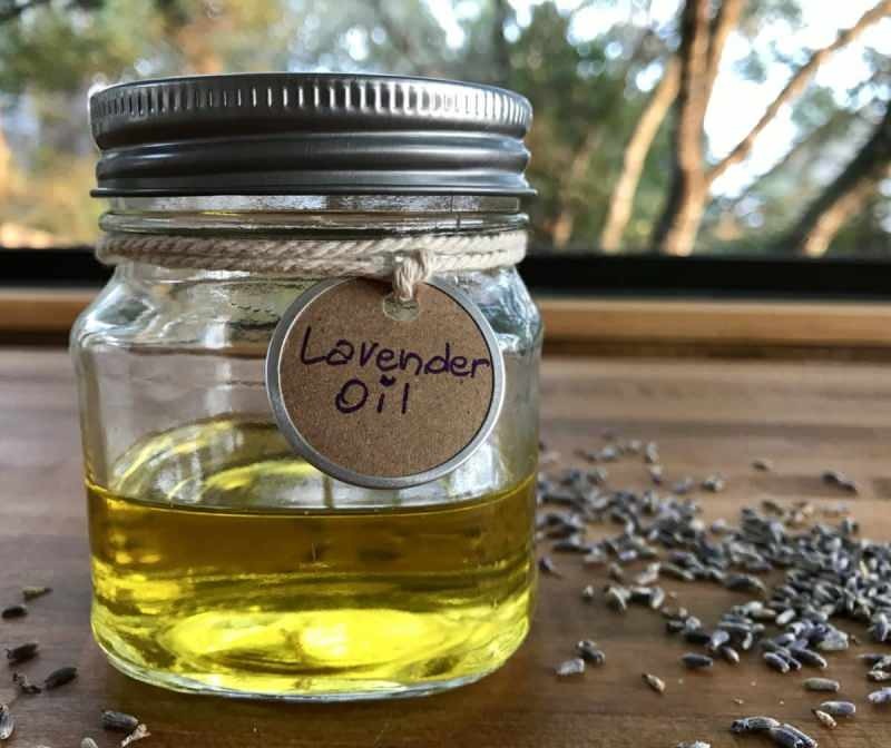 Jak se získává levandulový olej? Jak extrahovat levandulový olej doma
