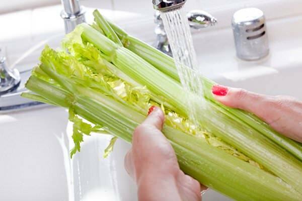 Jak by měl být výběr celeru