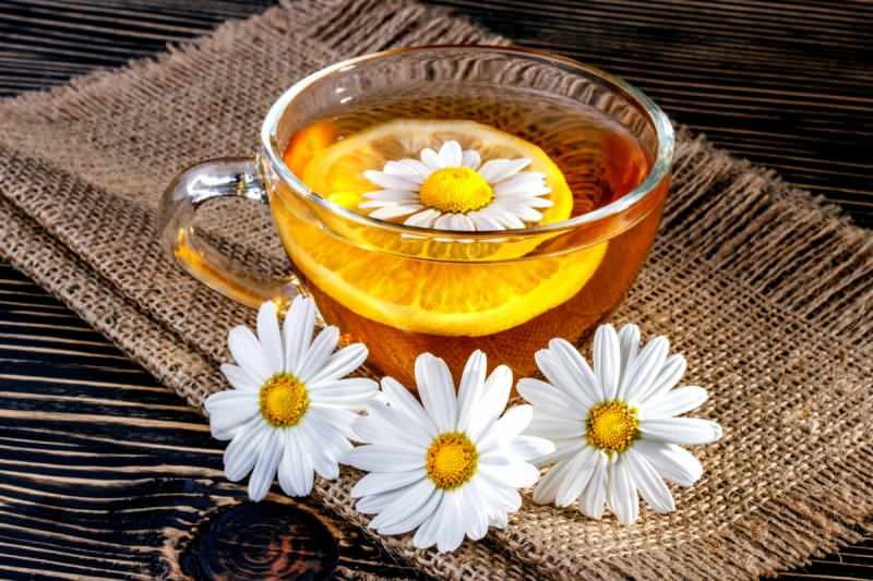Zrychluje heřmánkový čaj metabolismus?