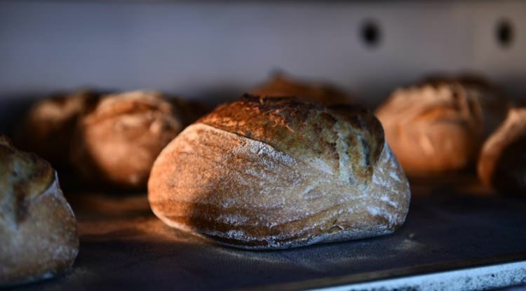 Jak vyrobit kváskový chléb?