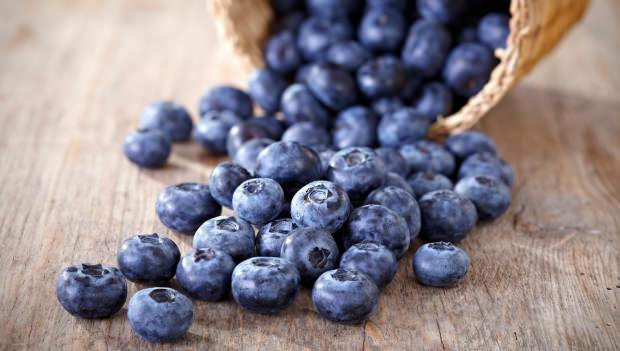 Jak rozumět Blueberry?