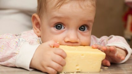 Výběr sýrů pro kojence