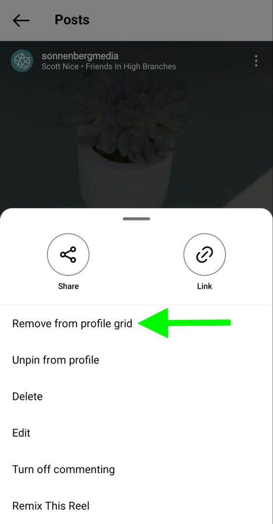 jak-na-instagram-odepněte-reels-profile-remove-grid-sonnenbergmedia-step-4