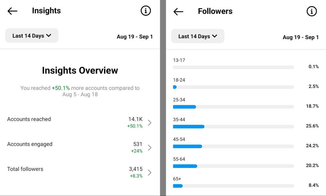jak-zkontrolovat-audience-sights-on-instagram-app-overview-followers-example-3