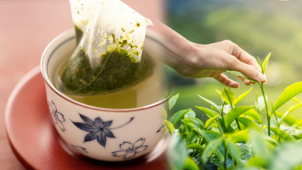 Oslabuje třesení zeleného čaje? Jaký je rozdíl mezi čajovými sáčky a vařeným čajem? Pokud pijete zelený čaj před spaním ...