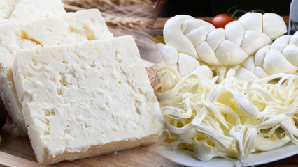 Jak rozumět dobrému sýru? Tipy pro výběr sýra