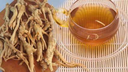 Jaké jsou výhody ženšenu? Jak se ženšen konzumuje? K čemu je ženšenový čaj vhodný?