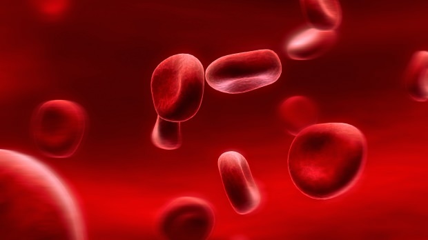 Co je to krevní skupina? Jak se to dělá?