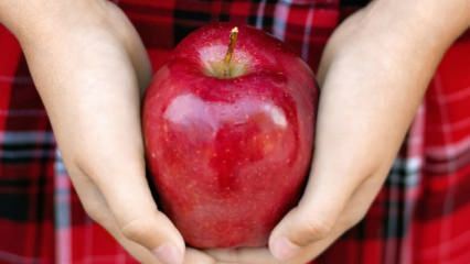 Jak se hodnotí shnilá jablka? 