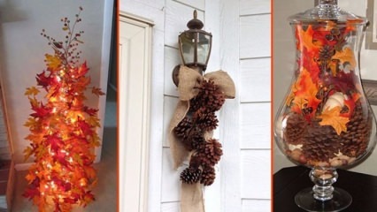 5 objektů, které na podzim dodají vašemu domovu krásu!