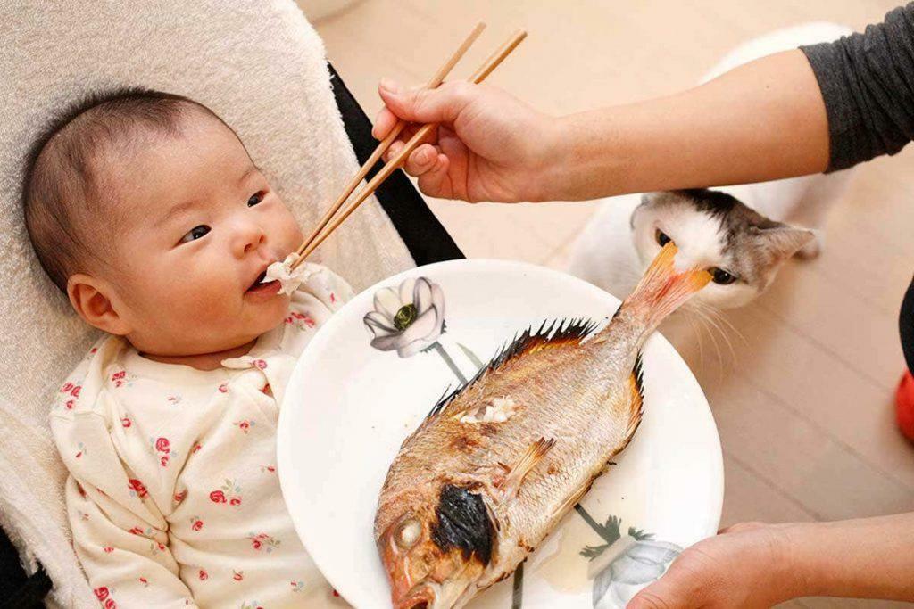 krmení ryb pro dítě