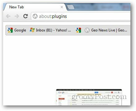 Prohlížeč PDf Chrome 1