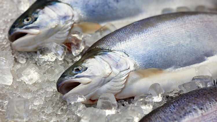Mění se chuť ryb vržených v mrazáku?