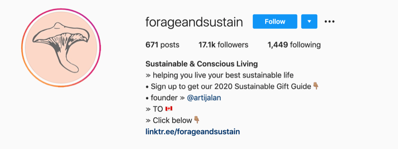 příklad profilu instagramu z @forageandsustain s poznámkou v jeho informacích o profilu a kliknutím na odkaz bio více