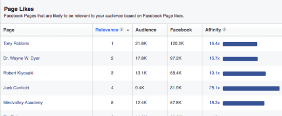 Audience Insights Facebooku poskytuje seznam stránek, které by se vašemu publiku mohly líbit na základě jejich zájmů. 
