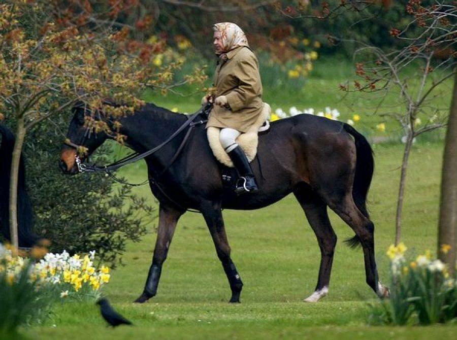 Královna Alžběta na projížďce na koni 