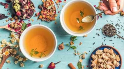 Jaké bylinné čaje nejrychleji spalují tuky? 7 nejúčinnějších bylinných čajů na spalování tuků! 