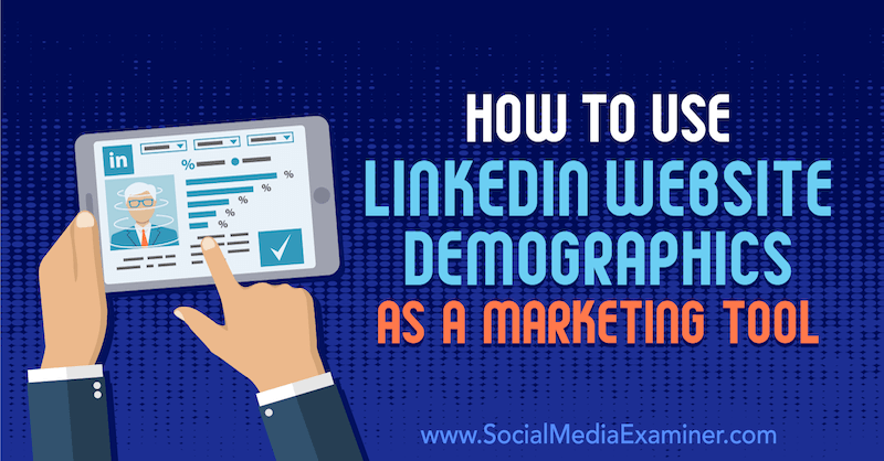 Jak používat demografickou stránku webových stránek LinkedIn jako marketingový nástroj: zkoušející sociálních médií