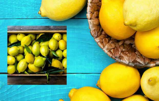 hubnutí s citronovou dietou