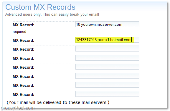 vložit informace o vašem serveru živých služeb Mx na stránku pokročilých možností vaší domény pro vlastní záznamy mx