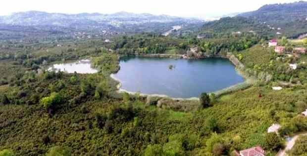 Lake zobák