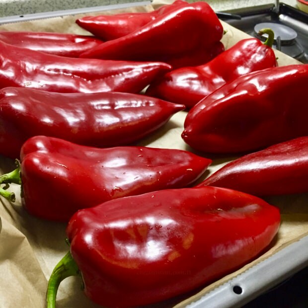 výhody červené papriky