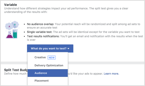 Proměnná testu rozdělení reklam na Facebooku