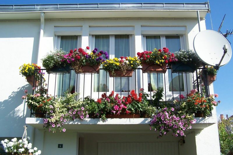 Návrhy dekorace balkonů pro jarní měsíce! Jména jarních květů medvědů