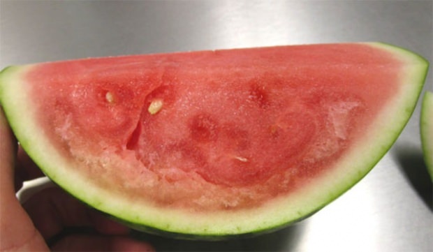 Dejte si pozor na popraskaný meloun!