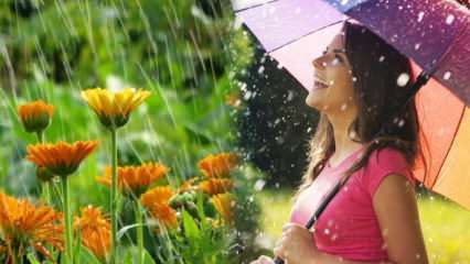 Léčí se dubnový déšť? Jaké modlitby je třeba číst do dešťové vody? Výhody dubnového deště