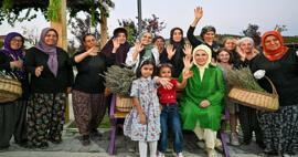 První dáma Erdoğan navštívila Ekologickou vesnici a sklidila levanduli v Ankaře