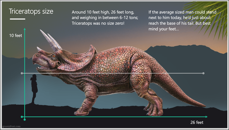Prezentace Triceratops