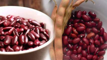 Jaké jsou výhody mexických fazolí? Jak konzumovat mexické fazole?
