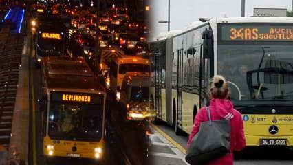 Jaké jsou zastávky Metrobusu a jak se jmenují? Kolik stojí jízdné Metrobus 2022?