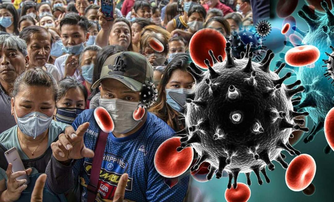 Odborník na chřipkový virus vysvětlil! Jaký je rozdíl mezi chřipkou a Covid-19? 